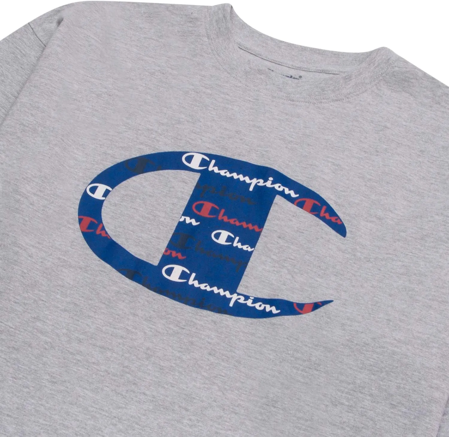 Champion Big and Tall T Shirts for Men  Crewneck Mens Big and Tall Graphic Tee
