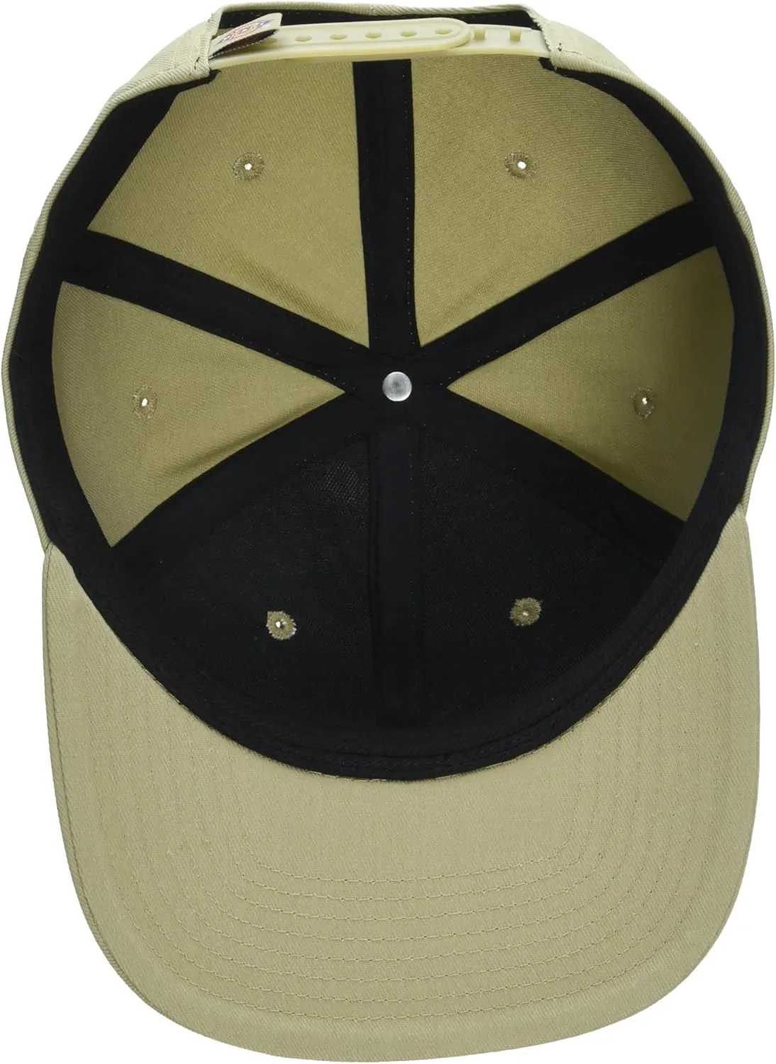 Dickies mens Skateboarding Flat Bill Cap