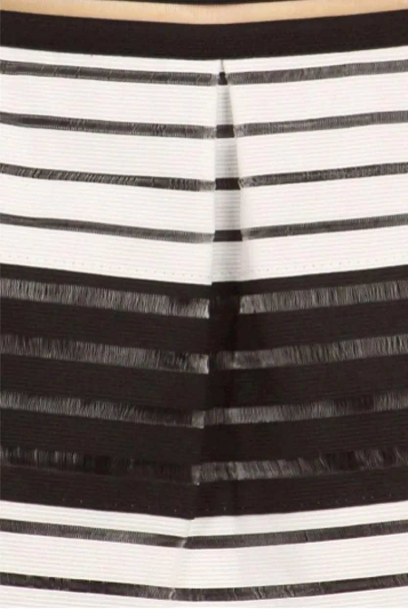 ICONOFLASH High Waist Pleated Organza Skirt